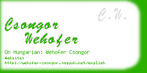 csongor wehofer business card